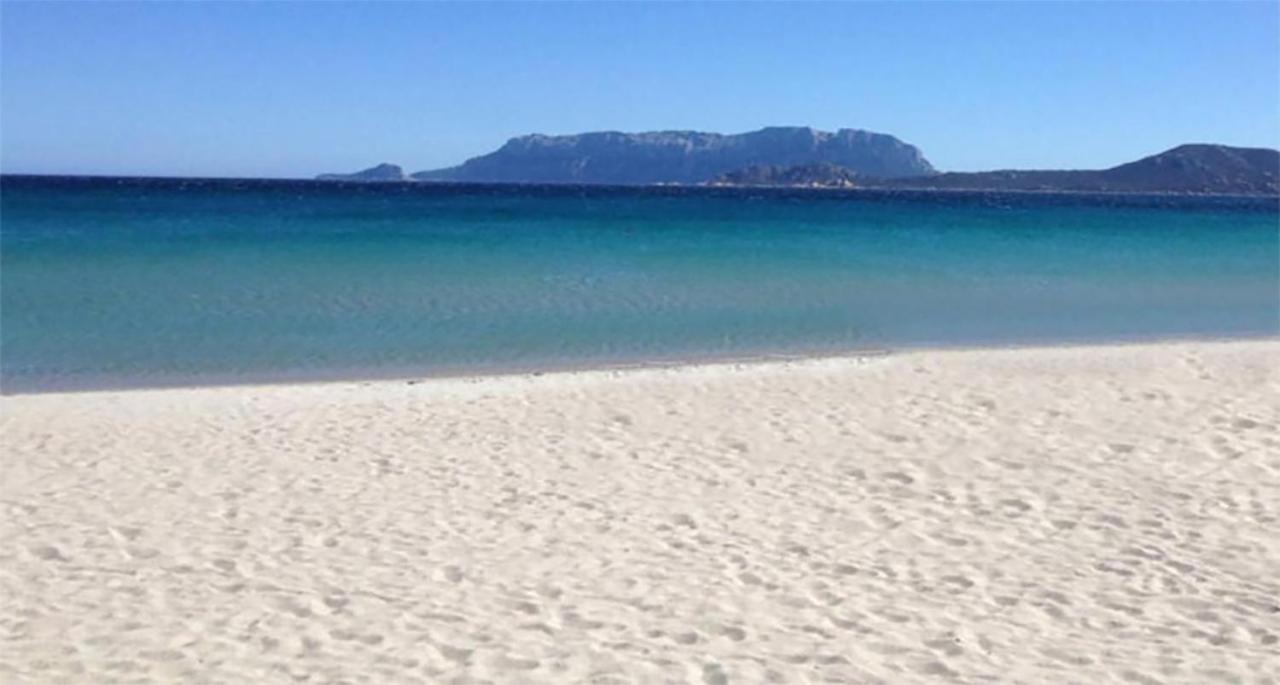 Casa vacanze Marina House Olbia